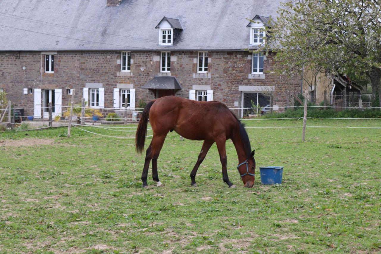 Hambye Decouverte D'Un Haras Proche Du Mont St Michel المظهر الخارجي الصورة