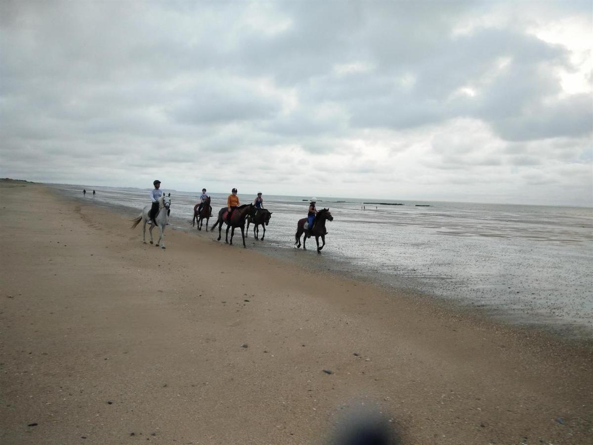 Hambye Decouverte D'Un Haras Proche Du Mont St Michel المظهر الخارجي الصورة