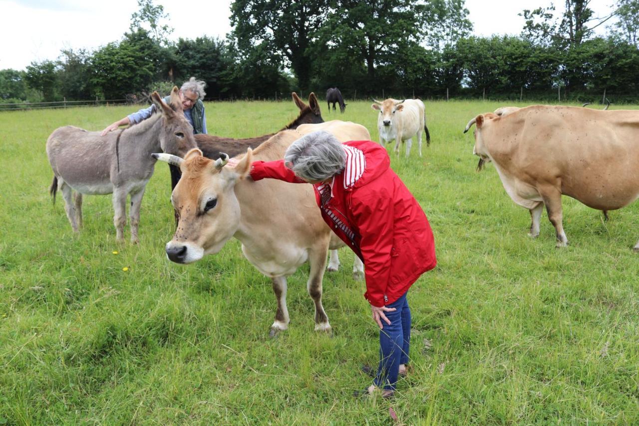 Hambye Decouverte D'Un Haras Proche Du Mont St Michel المظهر الخارجي الصورة