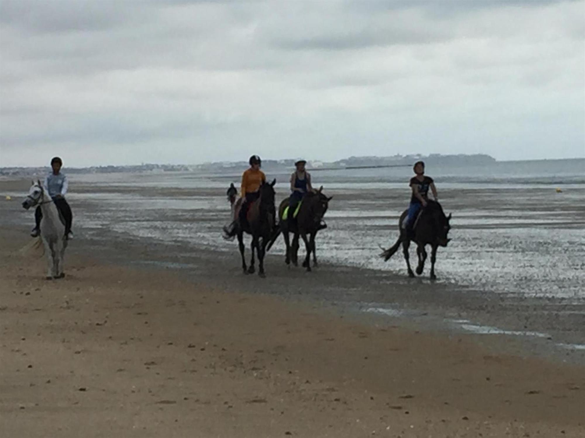 Hambye Decouverte D'Un Haras Proche Du Mont St Michel المظهر الخارجي الصورة
