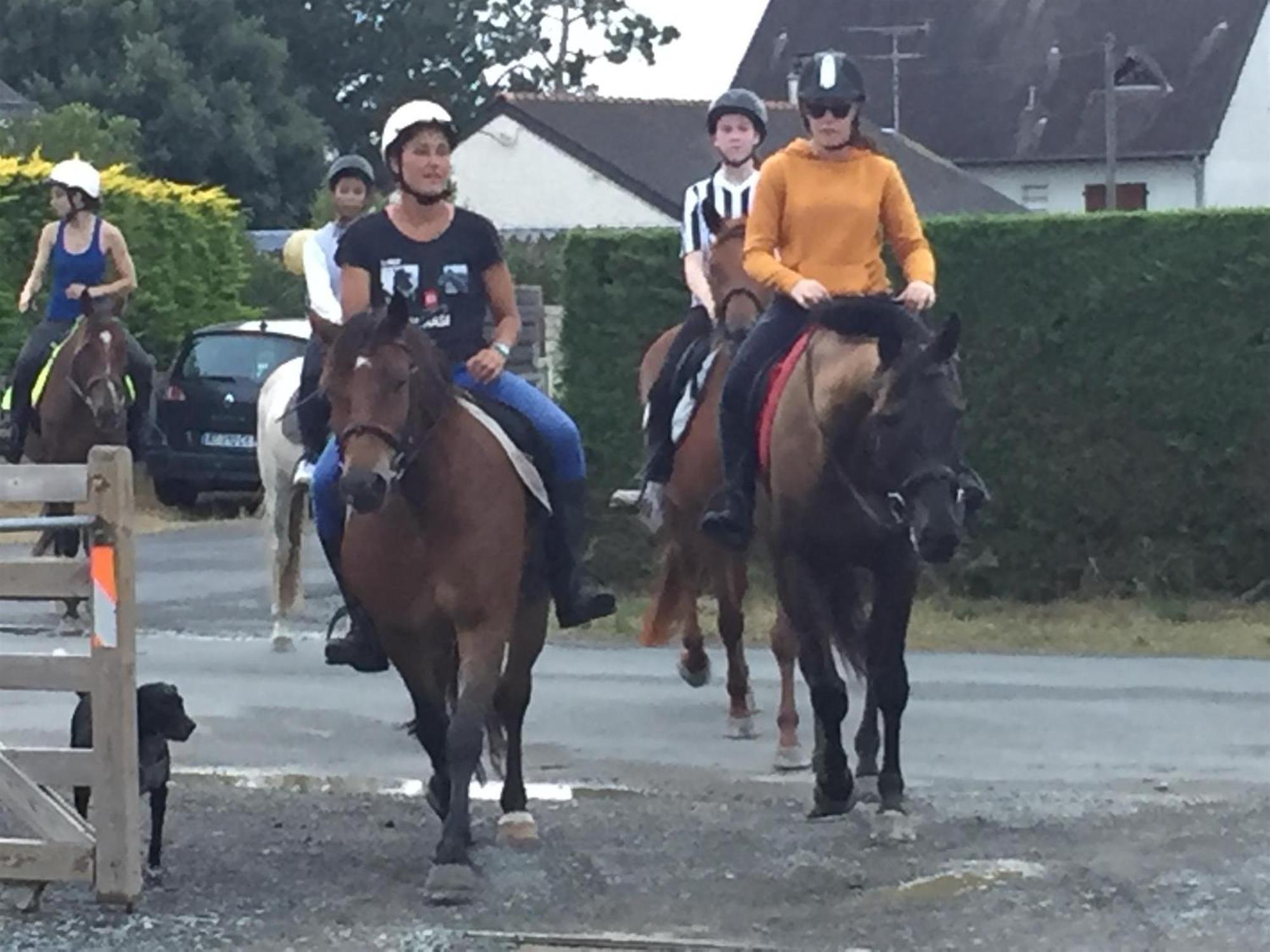 Hambye Decouverte D'Un Haras Proche Du Mont St Michel المظهر الخارجي الصورة