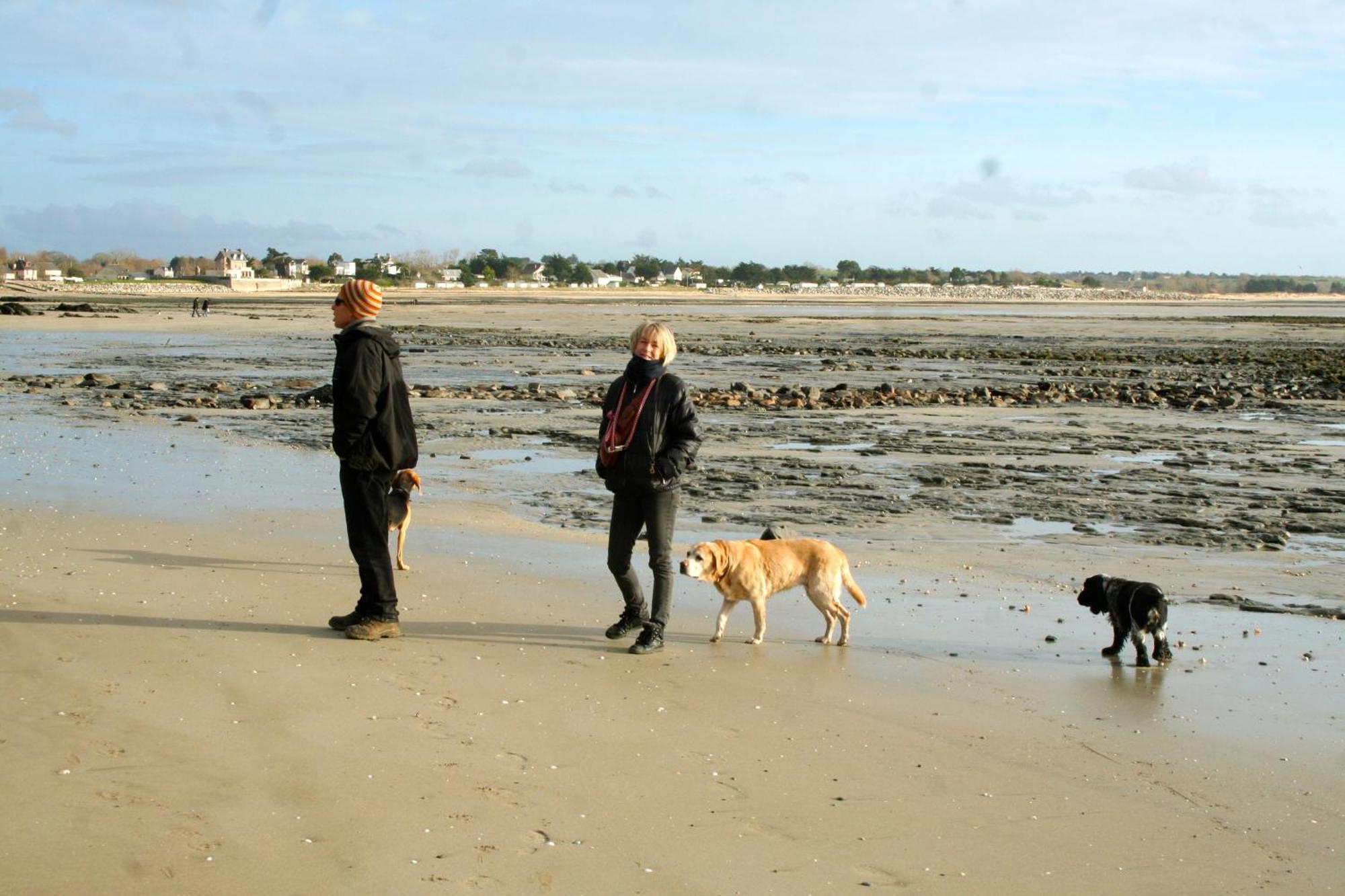 Hambye Decouverte D'Un Haras Proche Du Mont St Michel المظهر الخارجي الصورة