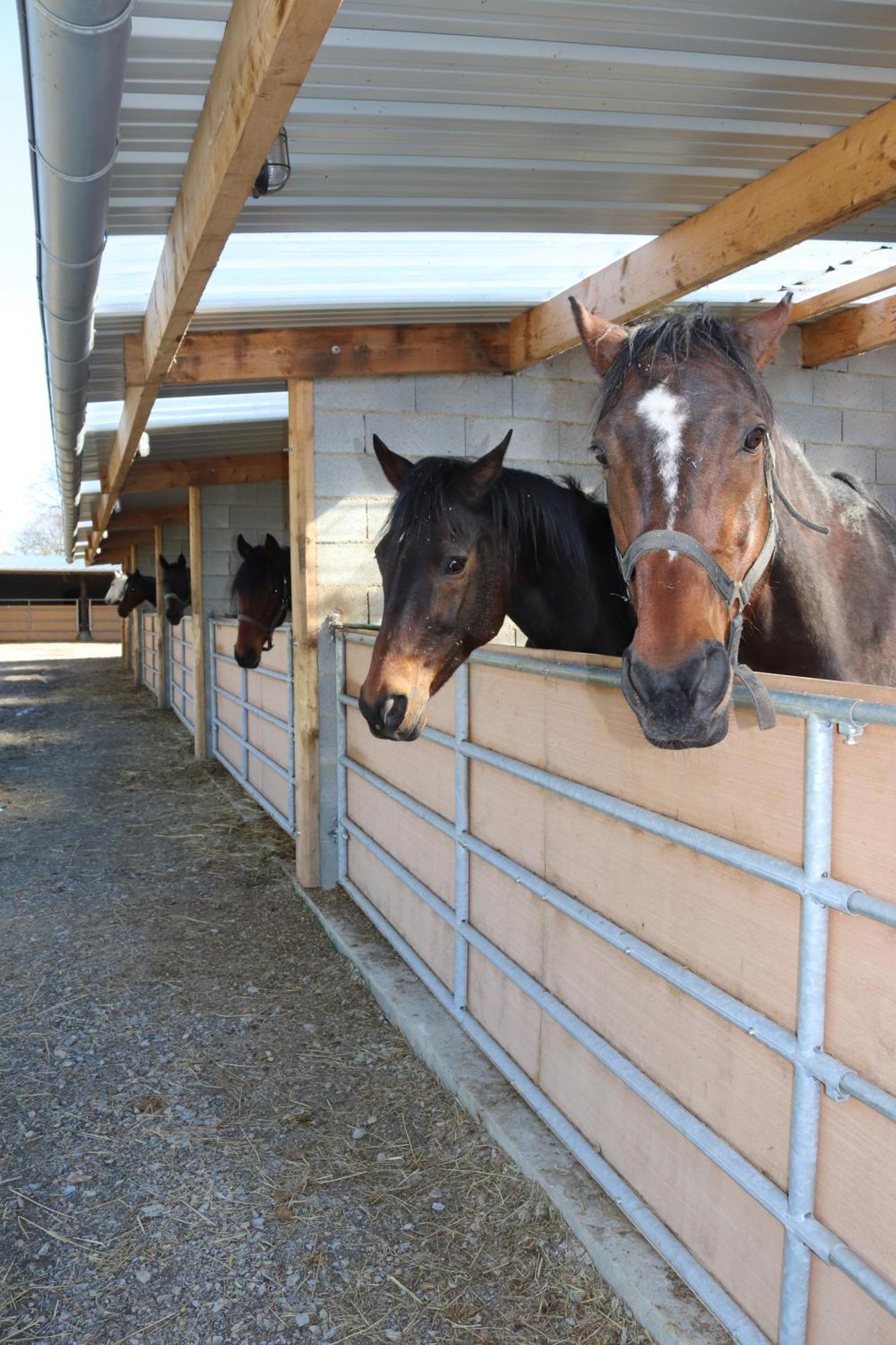 Hambye Decouverte D'Un Haras Proche Du Mont St Michel المظهر الخارجي الصورة
