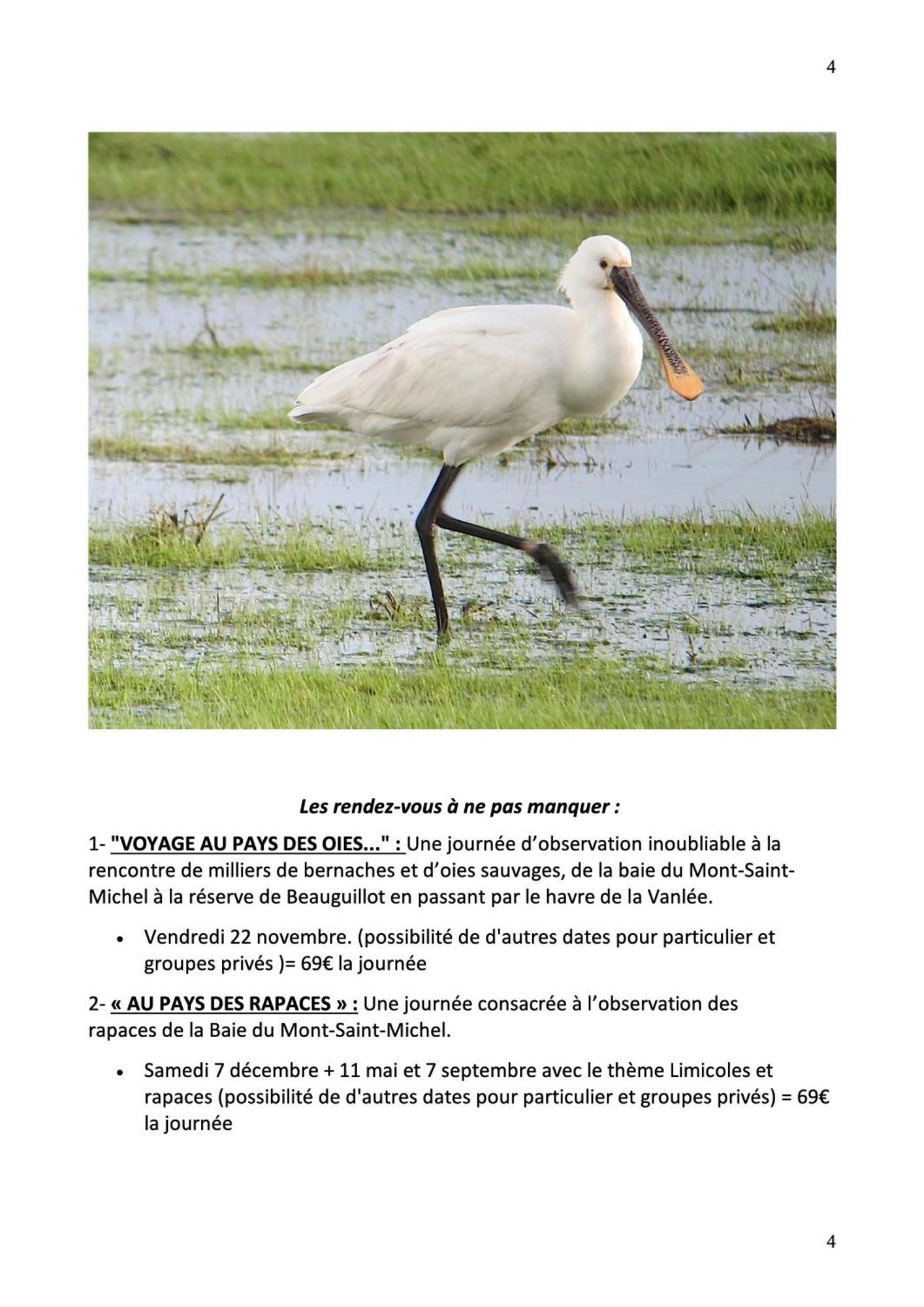 Hambye Decouverte D'Un Haras Proche Du Mont St Michel المظهر الخارجي الصورة